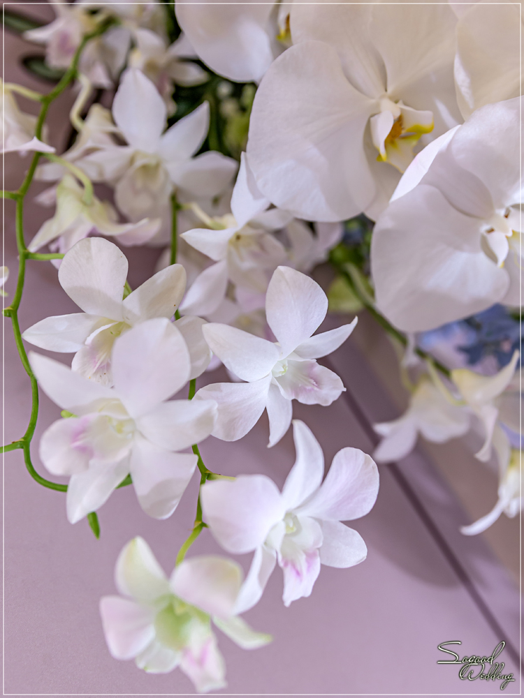 桃園中壢婚禮佈置,花田盛事凡爾賽廳婚禮佈置,美式婚禮,浪漫花園風婚禮,愛情故事婚禮,手繪風婚禮,主題婚禮客製設計,Sogood Wedding