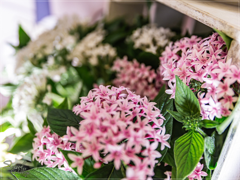 桃園中壢婚禮佈置,花田盛事凡爾賽廳婚禮佈置,美式婚禮,浪漫花園風婚禮,愛情故事婚禮,手繪風婚禮,主題婚禮客製設計,Sogood Wedding