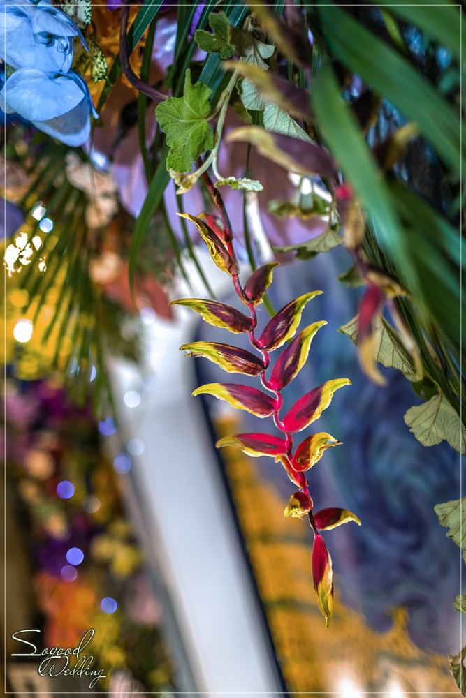 桃園中壢婚禮佈置,尊爵國際廳婚禮佈置,梵谷向日葵婚禮,奇幻花園婚禮,繽紛花店婚禮,熱帶夏夜婚禮,主題婚禮客制設計,Sogood Wedding