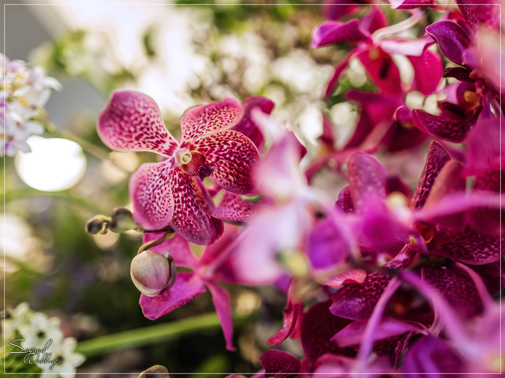桃園中壢婚禮佈置,大溪山水婚禮佈置,時尚城堡宮廷風婚禮,巴洛克宮廷風婚禮,主題婚禮客製設計,Sogood Wedding