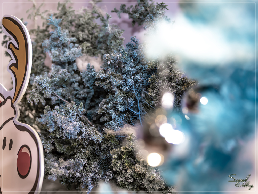 桃園中壢婚禮佈置,南科贊美酒店珍愛廳婚禮佈置,冰雪奇緣婚禮,聖誕雪景婚禮,史努比婚禮,冬季婚禮,主題婚禮客制設計,Sogood Wedding