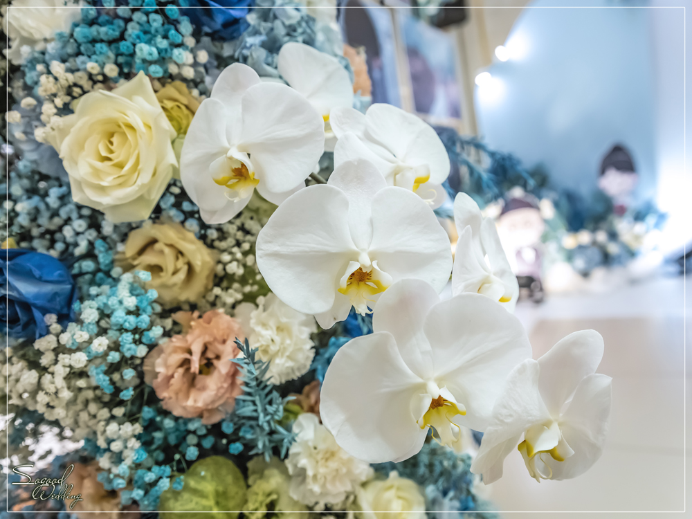 桃園中壢婚禮佈置,香江婚禮佈置,時尚浪漫風婚禮佈置,證婚拱門,相片框佈置,層次背板婚禮,主題婚禮客制設計,Sogood Wedding