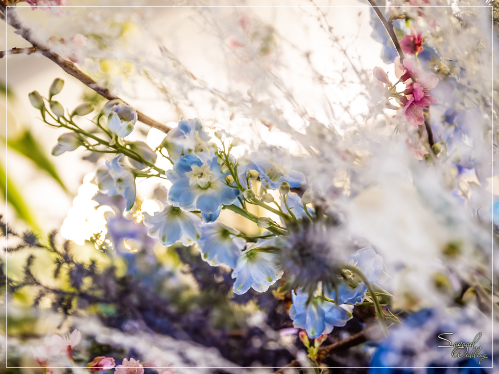 桃園中壢婚禮佈置,香江婚禮佈置,時尚浪漫風婚禮佈置,證婚拱門,相片框佈置,層次背板婚禮,主題婚禮客制設計,Sogood Wedding