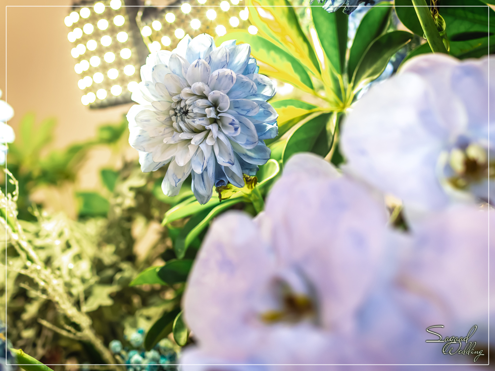 桃園中壢婚禮佈置,皇家薇庭威尼斯廳婚禮佈置,時尚浪漫風婚禮佈置,藍色雪景之戀婚禮,層次背板婚禮,主題婚禮客制設計,Sogood Wedding