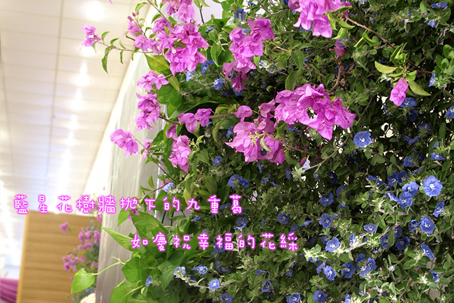 綠光花園婚禮佈置『自然優雅庭園風-桃紫白色』婚禮...1011021